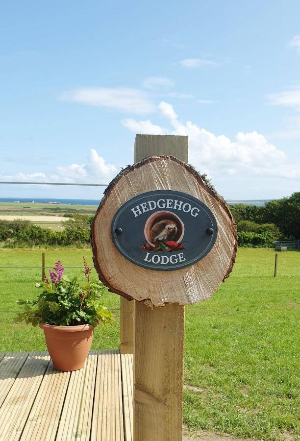 Lilly'S Lodges Orkney Hedgehog Lodge Finstown Extérieur photo